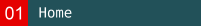 Webdesigner Berlin